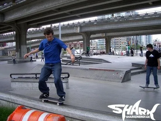 Go Skateboarding Day