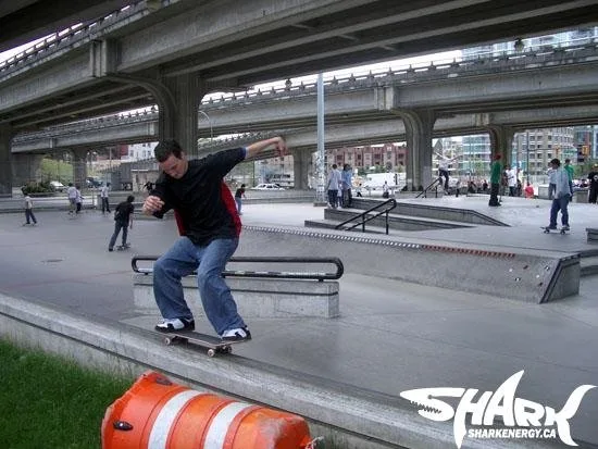 Go Skateboarding Day
